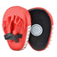 Athlean Punch Pad Gloves